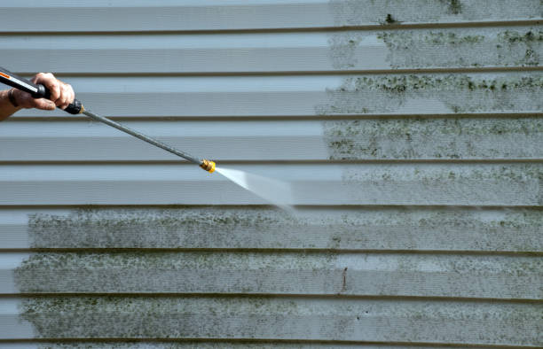 Best Fence Cleaning  in Lago Vista, TX