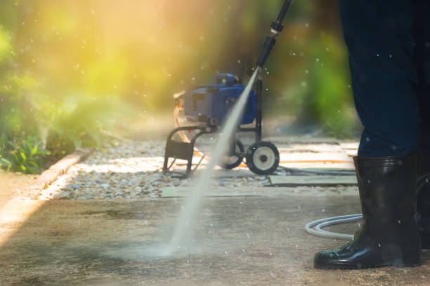 Best Animal Enclosure Cleaning  in Lago Vista, TX